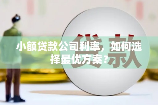 中国香港小额贷款公司利率，如何选择最优方案？