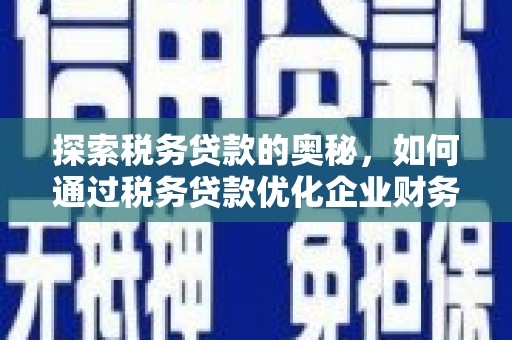 中国香港探索税务贷款的奥秘，如何通过税务贷款优化企业财务