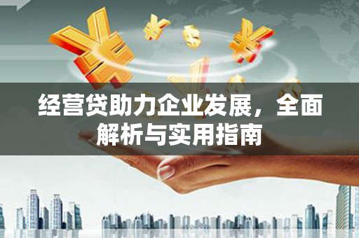 中国香港经营贷助力企业发展，全面解析与实用指南