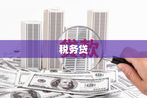 中国香港税务贷