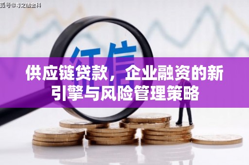中国香港供应链贷款，企业融资的新引擎与风险管理策略