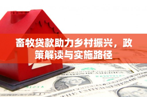 中国香港畜牧贷款助力乡村振兴，政策解读与实施路径