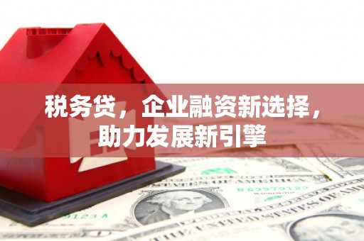 中国香港税务贷，企业融资新选择，助力发展新引擎