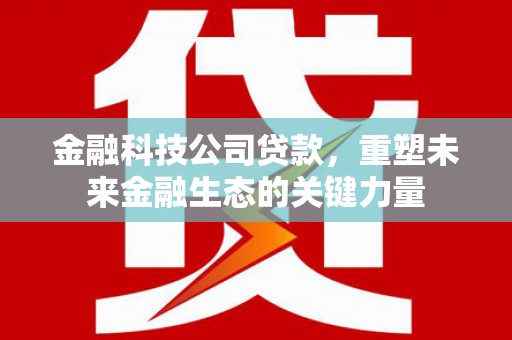 中国香港金融科技公司贷款，重塑未来金融生态的关键力量
