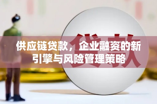 中国香港供应链贷款，企业融资的新引擎与风险管理策略