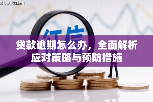 中国香港贷款逾期怎么办，全面解析应对策略与预防措施
