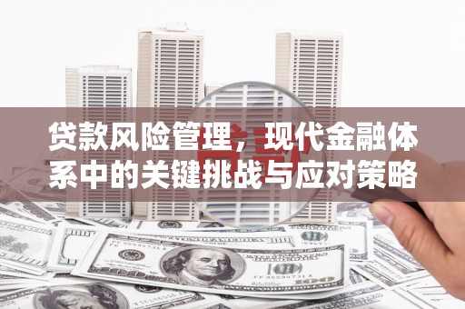 中国香港贷款风险管理，现代金融体系中的关键挑战与应对策略