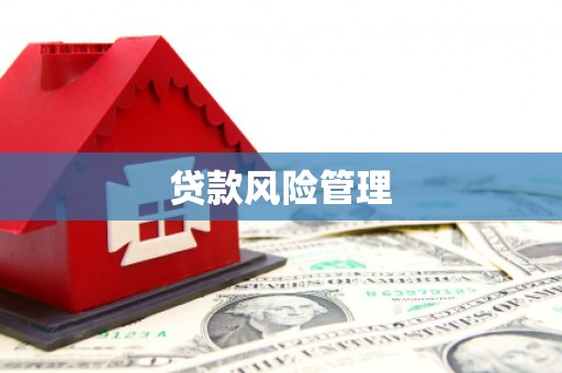 中国香港贷款风险管理