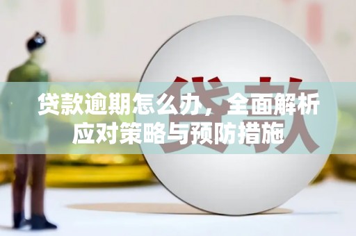 中国香港贷款逾期怎么办，全面解析应对策略与预防措施