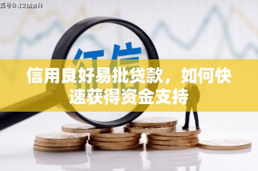 中国香港信用良好易批贷款，如何快速获得资金支持