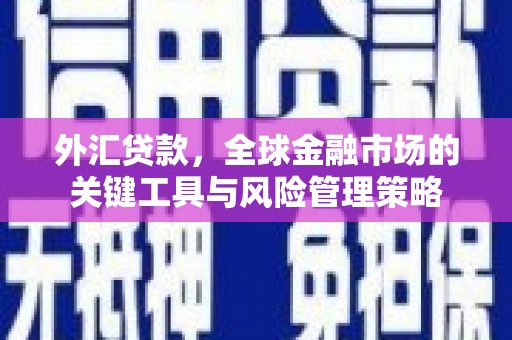 中国香港外汇贷款，全球金融市场的关键工具与风险管理策略