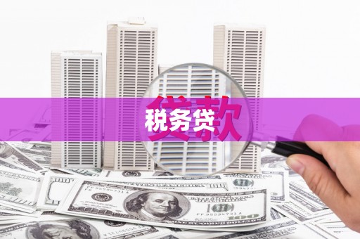 中国香港税务贷