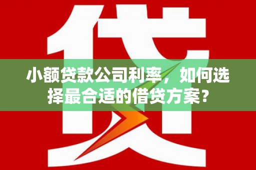 中国香港小额贷款公司利率，如何选择最合适的借贷方案？