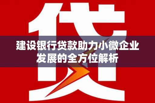 中国香港建设银行贷款助力小微企业发展的全方位解析