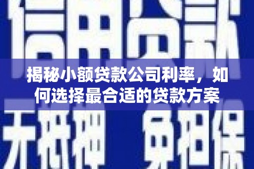中国香港揭秘小额贷款公司利率，如何选择最合适的贷款方案
