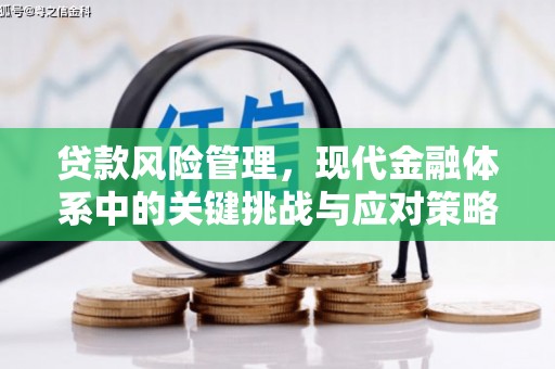 中国香港贷款风险管理，现代金融体系中的关键挑战与应对策略