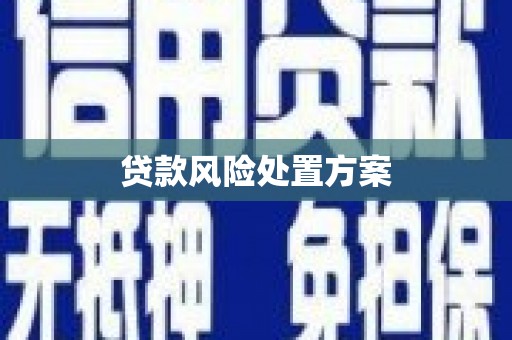 中国香港贷款风险处置方案