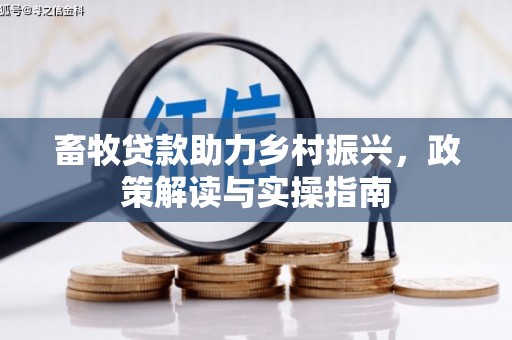 中国香港畜牧贷款助力乡村振兴，政策解读与实操指南