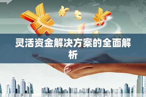 中国香港灵活资金解决方案的全面解析
