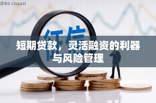 中国香港短期贷款，灵活融资的利器与风险管理