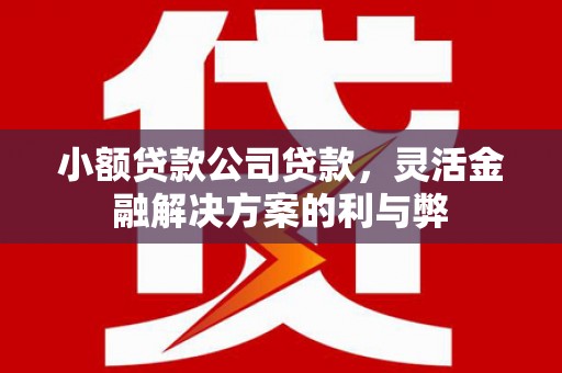 中国香港小额贷款公司贷款，灵活金融解决方案的利与弊